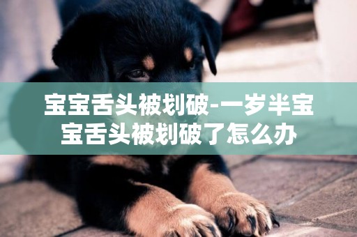 寶寶舌頭被劃破-一歲半寶寶舌頭被劃破了怎么辦