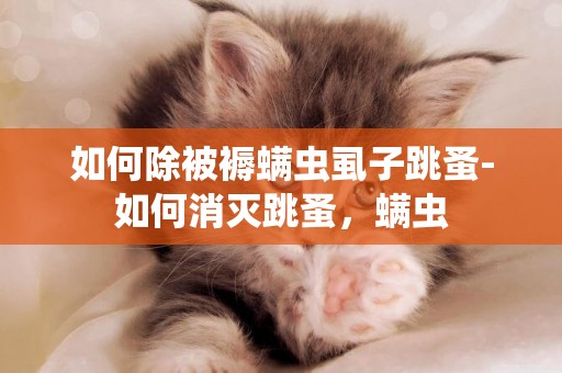 如何除被褥螨蟲虱子跳蚤-如何消滅跳蚤，螨蟲