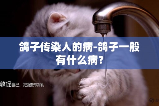 鴿子傳染人的病-鴿子一般有什么病？