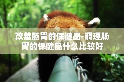 改善腸胃的保健品-調理腸胃的保健品什么比較好