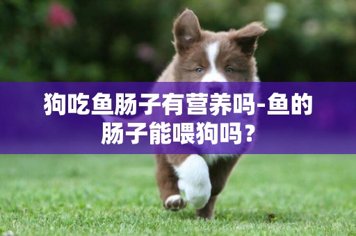 狗吃魚腸子有營養嗎-魚的腸子能喂狗嗎？