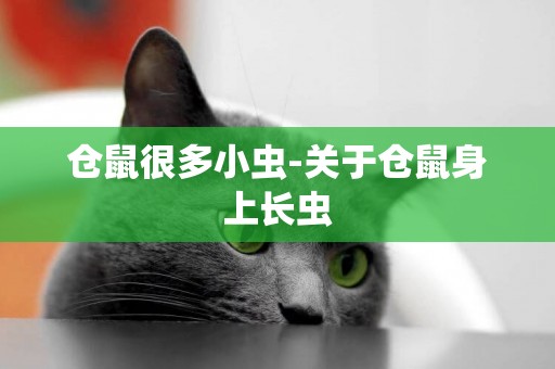 倉鼠很多小蟲-關于倉鼠身上長蟲