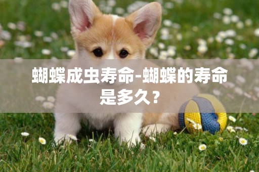蝴蝶成蟲壽命-蝴蝶的壽命是多久？
