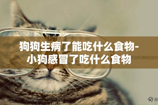 狗狗生病了能吃什么食物-小狗感冒了吃什么食物
