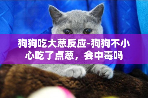 狗狗吃大蔥反應-狗狗不小心吃了點蔥，會中毒嗎