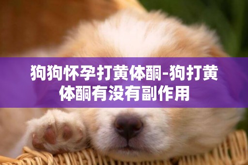 狗狗懷孕打黃體酮-狗打黃體酮有沒有副作用