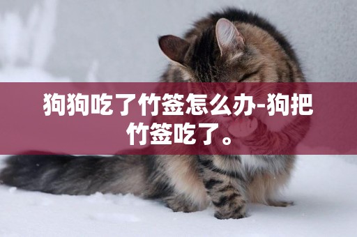 狗狗吃了竹簽怎么辦-狗把竹簽吃了。