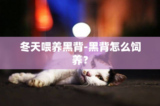 冬天喂養黑背-黑背怎么飼養？