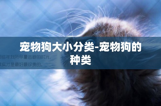 寵物狗大小分類-寵物狗的種類