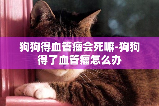 狗狗得血管瘤會死嘛-狗狗得了血管瘤怎么辦