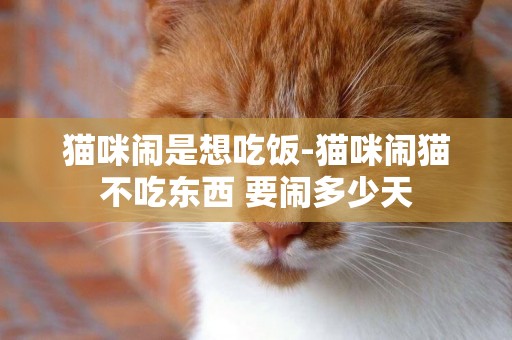 貓咪鬧是想吃飯-貓咪鬧貓不吃東西 要鬧多少天
