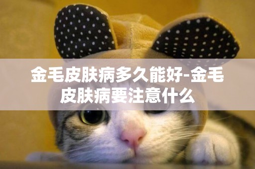 金毛皮膚病多久能好-金毛皮膚病要注意什么