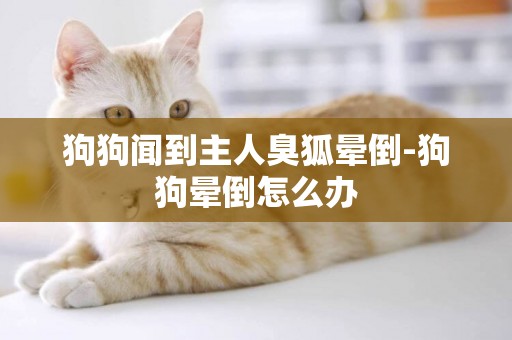狗狗聞到主人臭狐暈倒-狗狗暈倒怎么辦