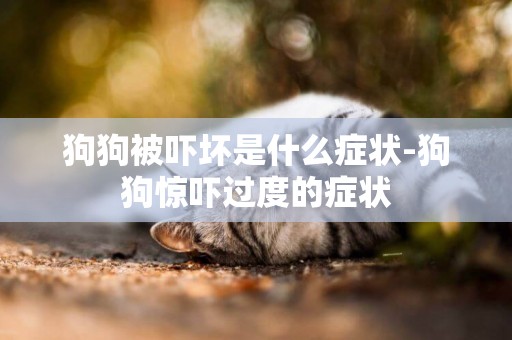 狗狗被嚇壞是什么癥狀-狗狗驚嚇過度的癥狀