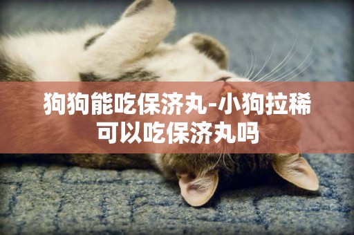 狗狗能吃保濟丸-小狗拉稀可以吃保濟丸嗎