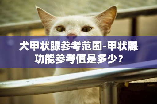 犬甲狀腺參考范圍-甲狀腺功能參考值是多少？