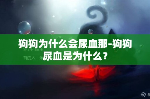 狗狗為什么會尿血那-狗狗尿血是為什么？