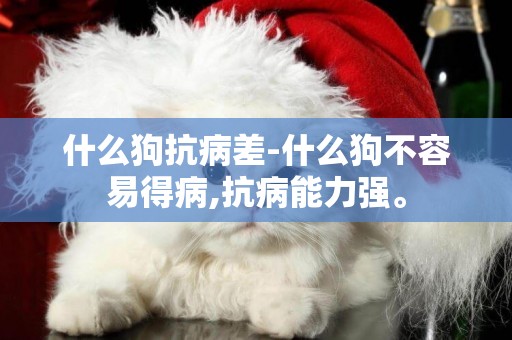 什么狗抗病差-什么狗不容易得病,抗病能力強。