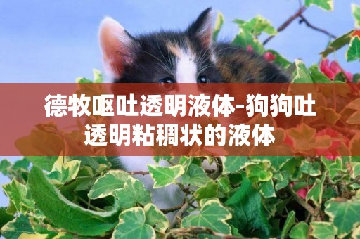 德牧嘔吐透明液體-狗狗吐透明粘稠狀的液體