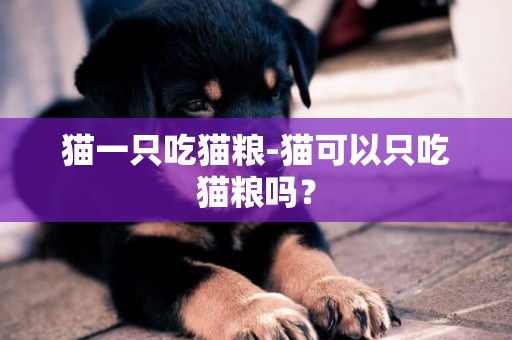貓一只吃貓糧-貓可以只吃貓糧嗎？