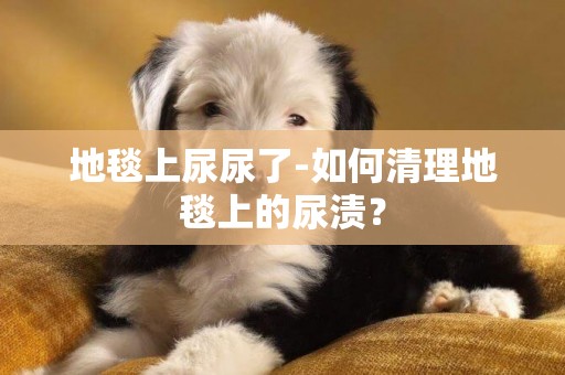 地毯上尿尿了-如何清理地毯上的尿漬？