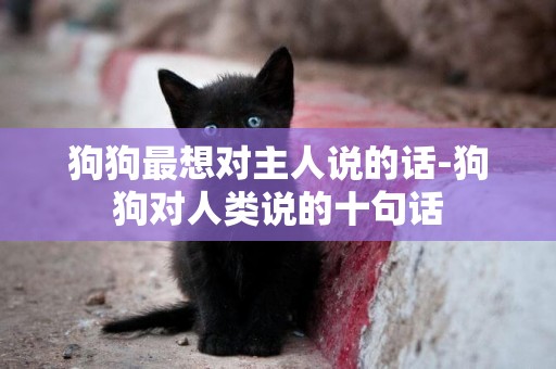 狗狗最想對主人說的話-狗狗對人類說的十句話