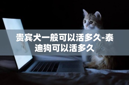 貴賓犬一般可以活多久-泰迪狗可以活多久