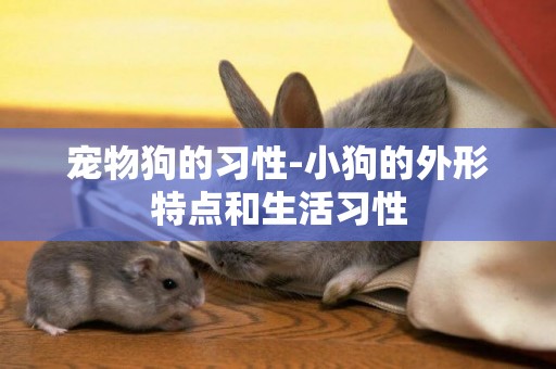 寵物狗的習性-小狗的外形特點和生活習性