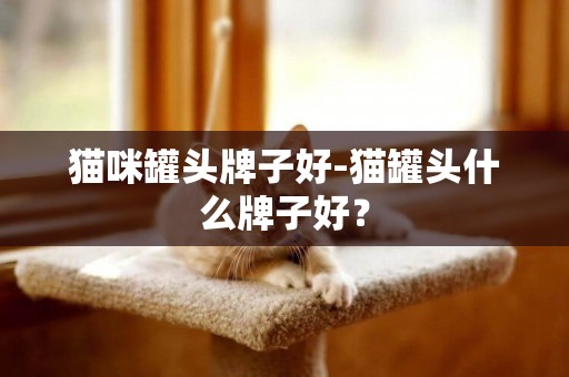 貓咪罐頭牌子好-貓罐頭什么牌子好？