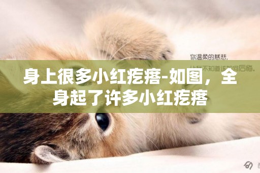 身上很多小紅疙瘩-如圖，全身起了許多小紅疙瘩