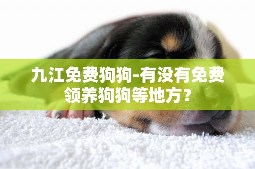 九江免費狗狗-有沒有免費領養狗狗等地方？