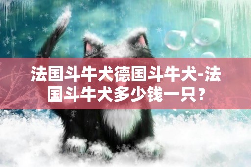 法國斗牛犬德國斗牛犬-法國斗牛犬多少錢一只？