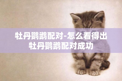 牡丹鸚鵡配對-怎么看得出牡丹鸚鵡配對成功