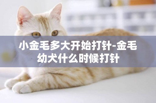 小金毛多大開始打針-金毛幼犬什么時候打針