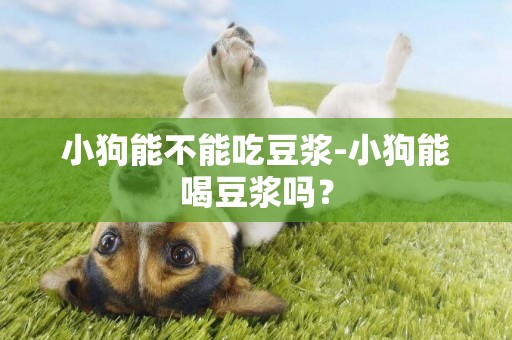 小狗能不能吃豆漿-小狗能喝豆漿嗎？