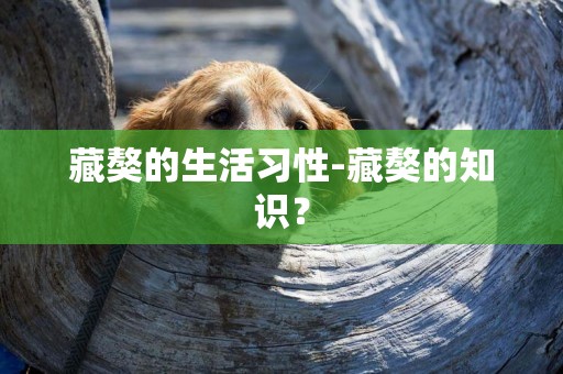 藏獒的生活習性-藏獒的知識？