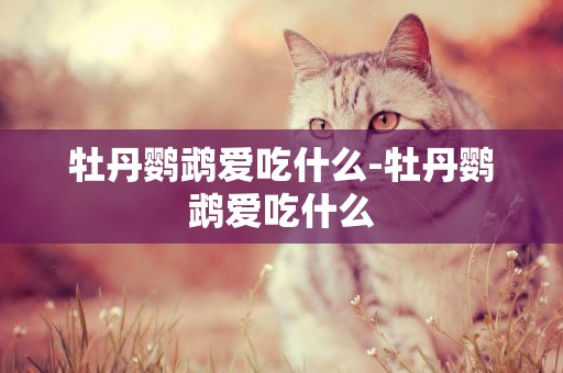 牡丹鸚鵡愛吃什么-牡丹鸚鵡愛吃什么