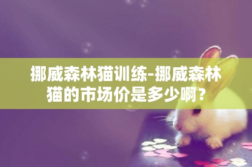 挪威森林貓訓練-挪威森林貓的市場價是多少啊？