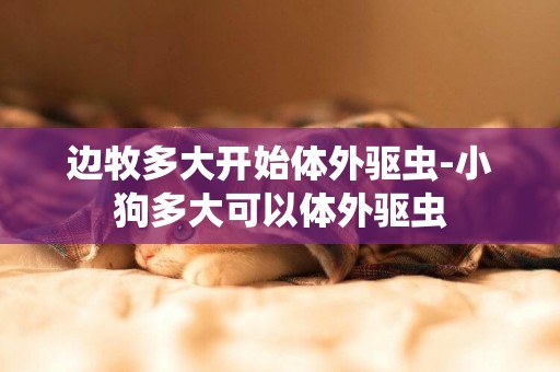 邊牧多大開始體外驅蟲-小狗多大可以體外驅蟲