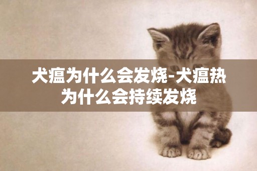 犬瘟為什么會發燒-犬瘟熱為什么會持續發燒