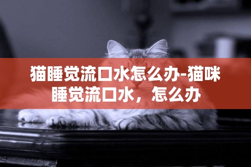 貓睡覺流口水怎么辦-貓咪睡覺流口水，怎么辦