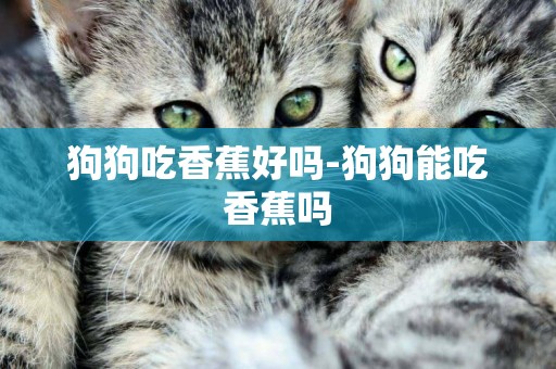 狗狗吃香蕉好嗎-狗狗能吃香蕉嗎