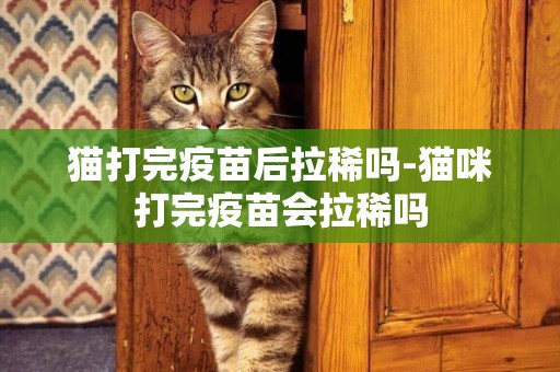 貓打完疫苗后拉稀嗎-貓咪打完疫苗會拉稀嗎