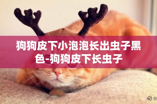 狗狗皮下小泡泡長出蟲子黑色-狗狗皮下長蟲子