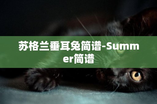 蘇格蘭垂耳兔簡譜-Summer簡譜