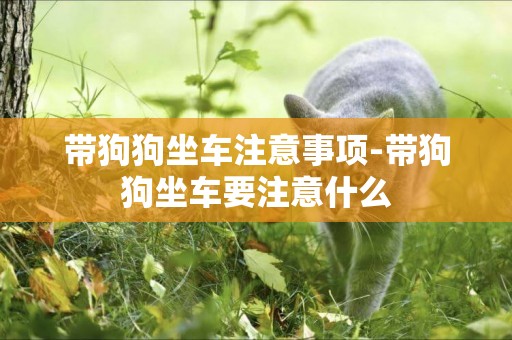 帶狗狗坐車注意事項-帶狗狗坐車要注意什么
