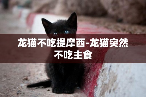 龍貓不吃提摩西-龍貓突然不吃主食