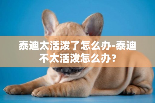 泰迪太活潑了怎么辦-泰迪不太活潑怎么辦？