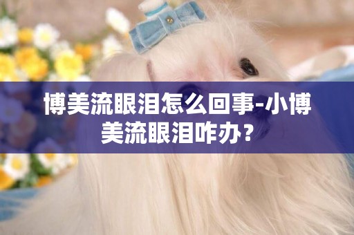 博美流眼淚怎么回事-小博美流眼淚咋辦？