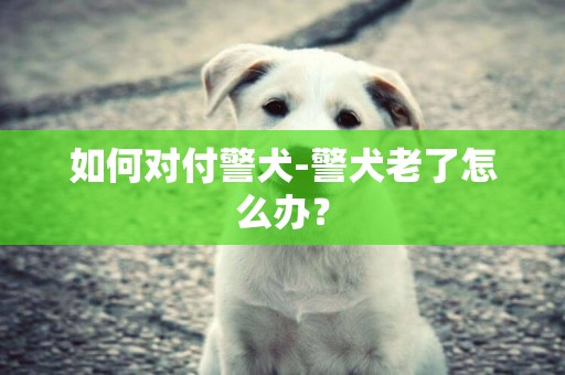 如何對付警犬-警犬老了怎么辦？